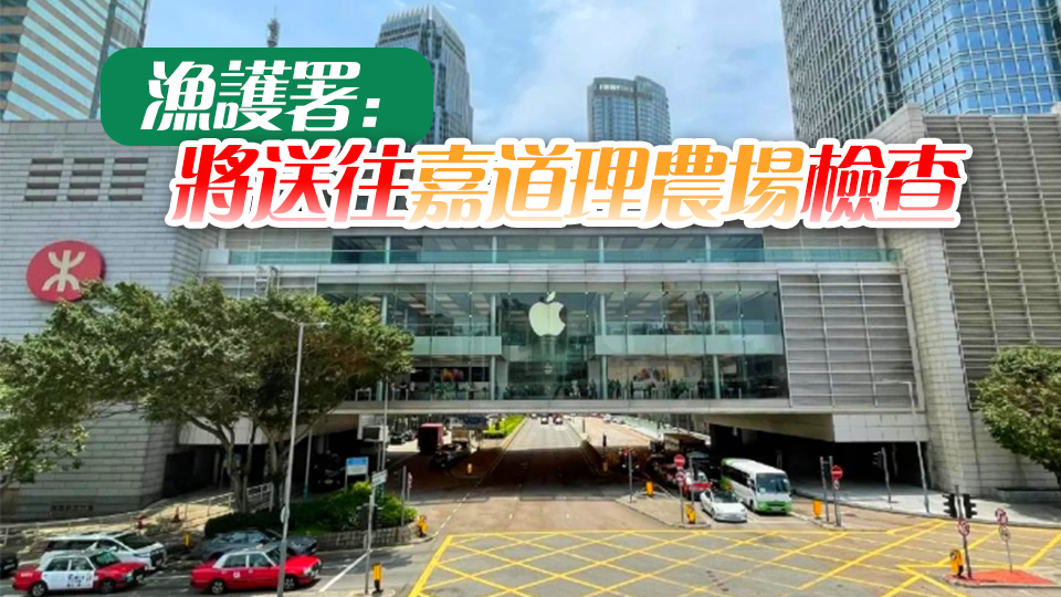 果子貍闖入中環(huán)IFC商場 消防到場處理