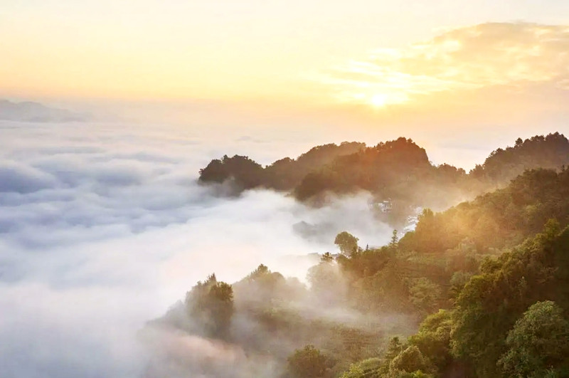 皖休寧齊雲(yún)山：文「雕」旅「刻」 欣欣向「融」