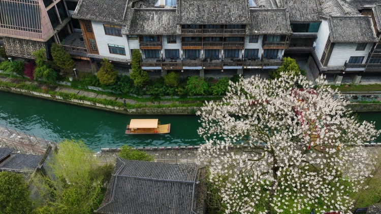 2024年遊客滿意的內(nèi)地十佳城市出爐