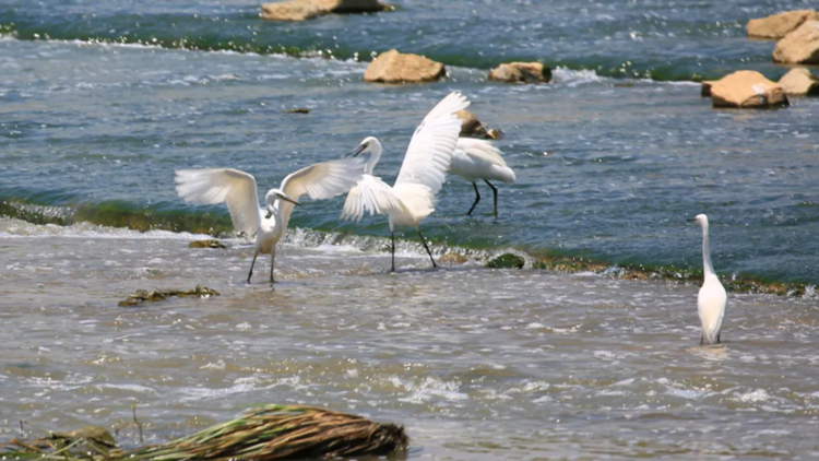 深圳新添2個省級水利風(fēng)景區(qū)