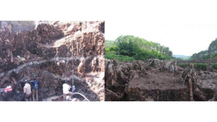 廣州科學家發(fā)現(xiàn)2000多年前嶺南地區(qū)戰(zhàn)爭新證