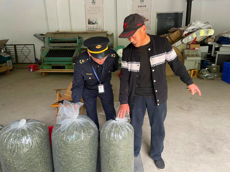 皖休寧縣：「春雷」行動(dòng)護(hù)茶香