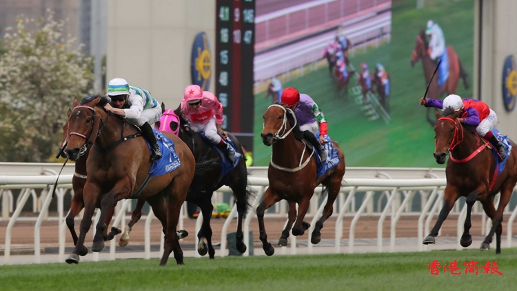 富衛(wèi)保險(xiǎn)冠軍賽馬日周日上演 「遨遊氣泡」力爭(zhēng)香港一哩大滿貫