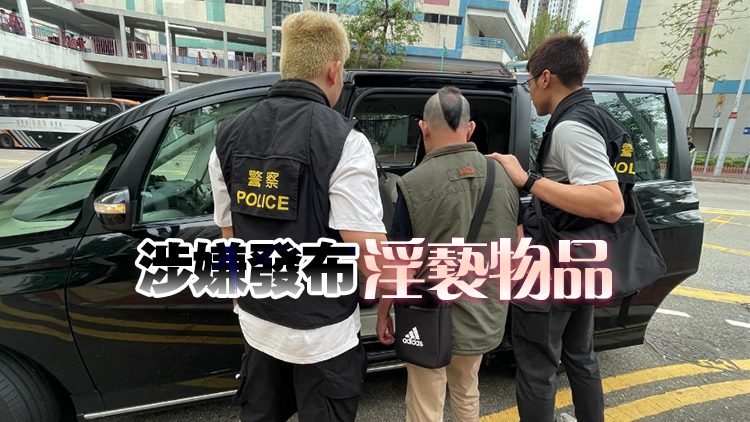 警方荃灣犁庭掃穴 拘一男檢3900隻色情光碟