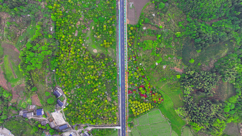 祁黟公路改建工程（祁門段）五一前建成通車