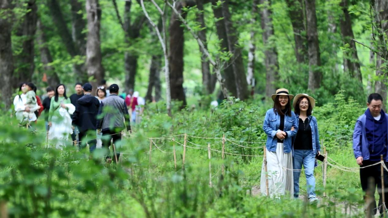 「綠野仙蹤」如詩(shī)如畫(huà)   皖徽州區(qū)古村生態(tài)美景迎客來(lái)