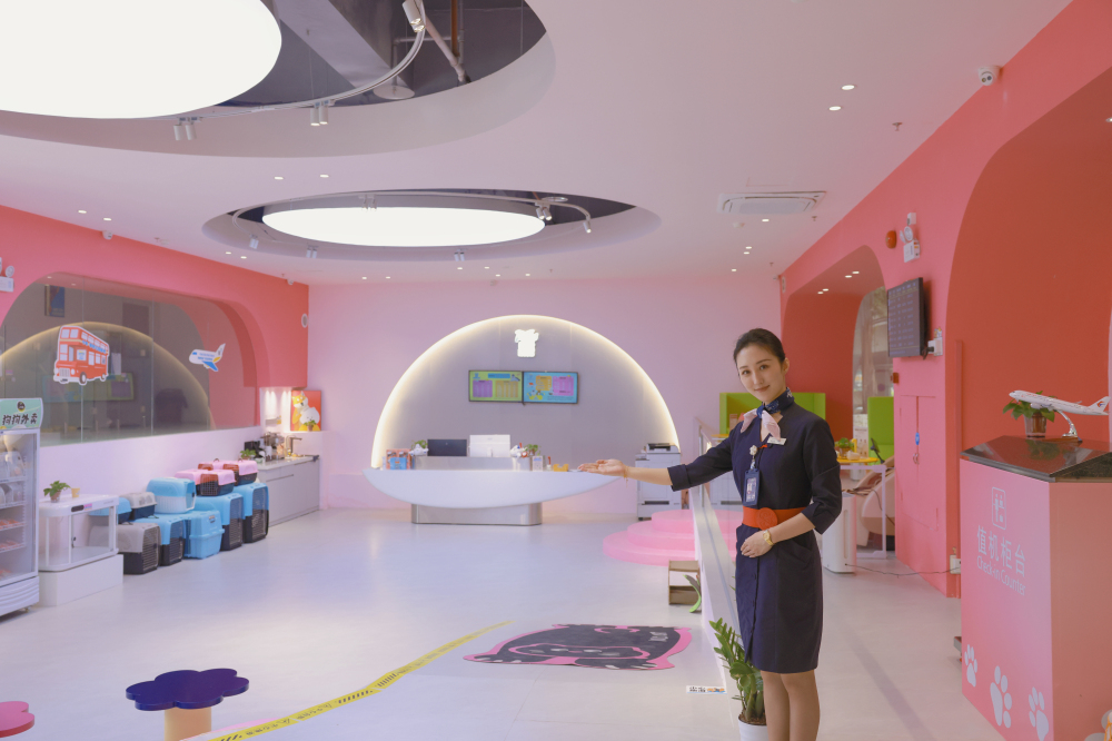 「五一」東航在大灣區(qū)日均投放350個(gè)航班