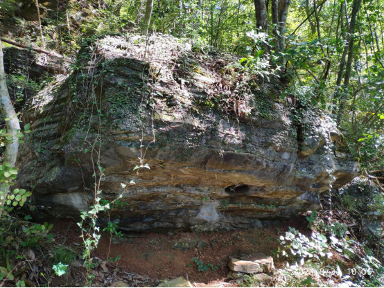 提煉特色有效運(yùn)營(yíng) 皖黟縣宏潭打造來(lái)龍山「全維度康養(yǎng)目的地」