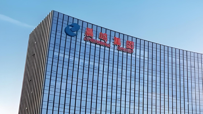 山東晨鳴紙業(yè)集團股份有限公司2025年第一季度報告