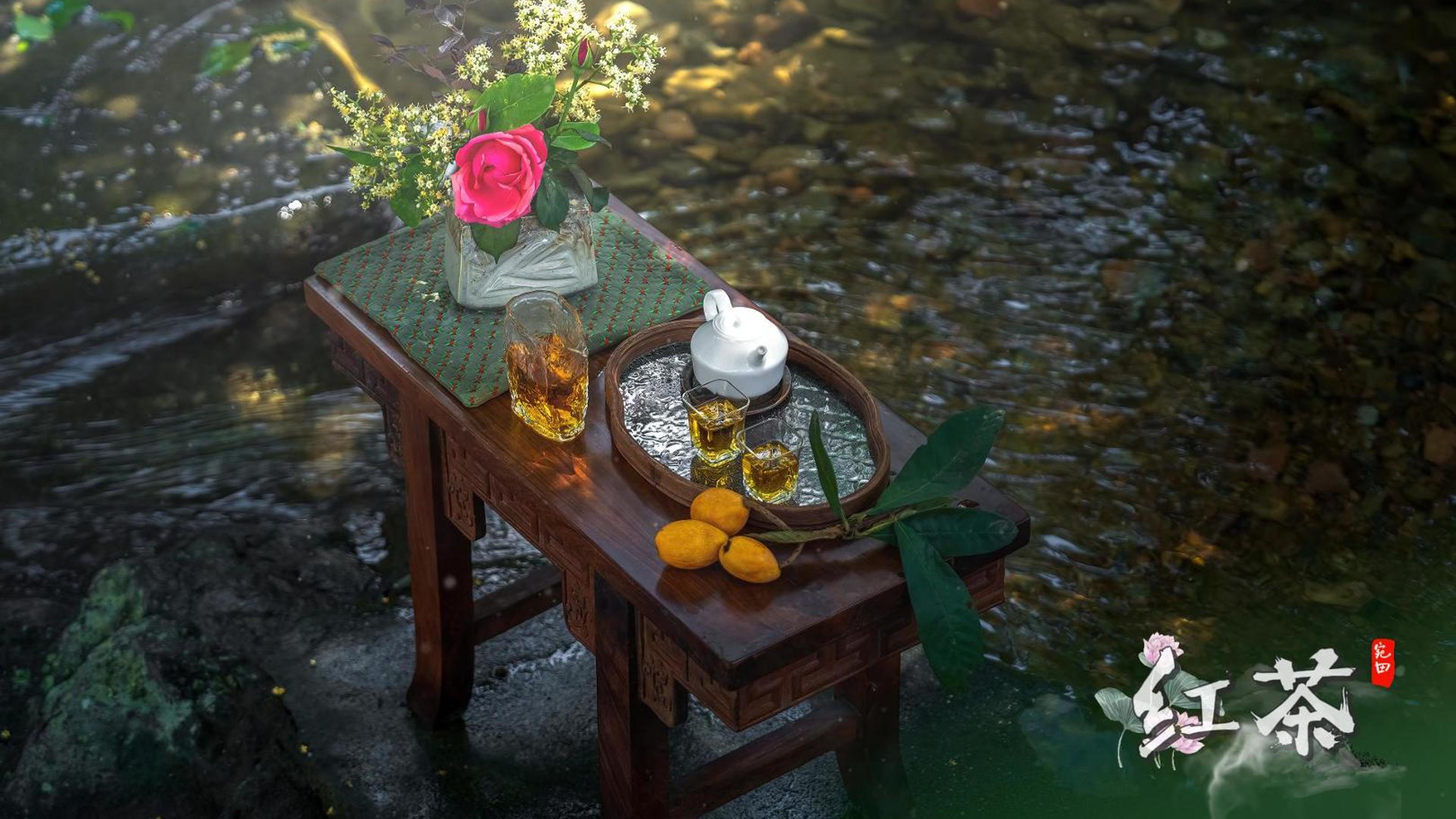 有片｜桂林臨桂區(qū)古樹茶敘中探尋非遺文化