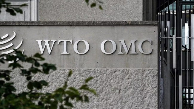 中國(guó)代表在世貿(mào)組織會(huì)議上譴責(zé)美國(guó)「對(duì)等關(guān)稅」