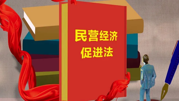 【港商時(shí)評(píng)】法律護(hù)航 民營經(jīng)濟(jì)天地闊