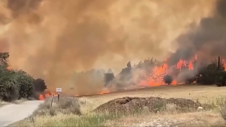 以色列進(jìn)入「國家緊急狀態(tài)」
