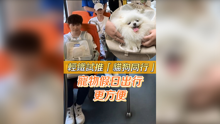 有片 | 輕鐵試推「貓狗同行」計(jì)劃 寵物假日出行更方便