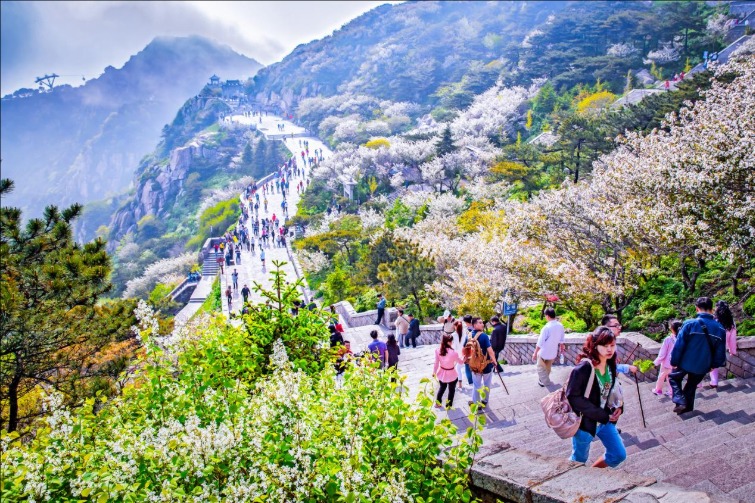 泰山景區(qū)今年第200萬名遊客誕生！