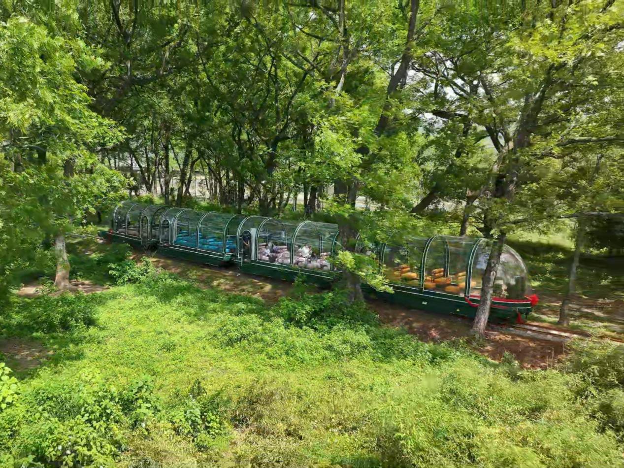 新玩法讓流量變留量  皖徽州區(qū)西溪南「特別出片」