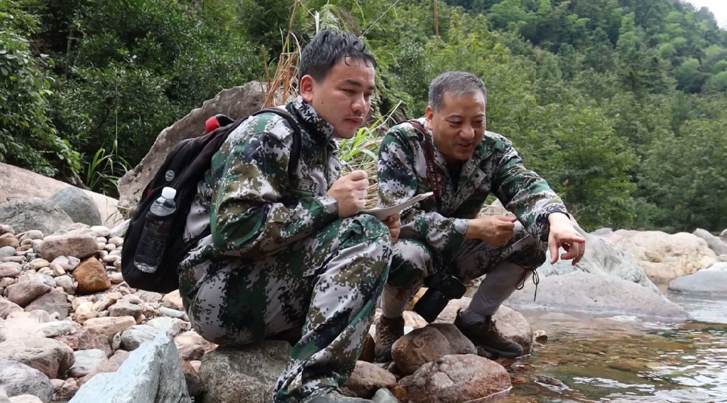 王山青：守護青山心不改 載譽歸來續(xù)征程