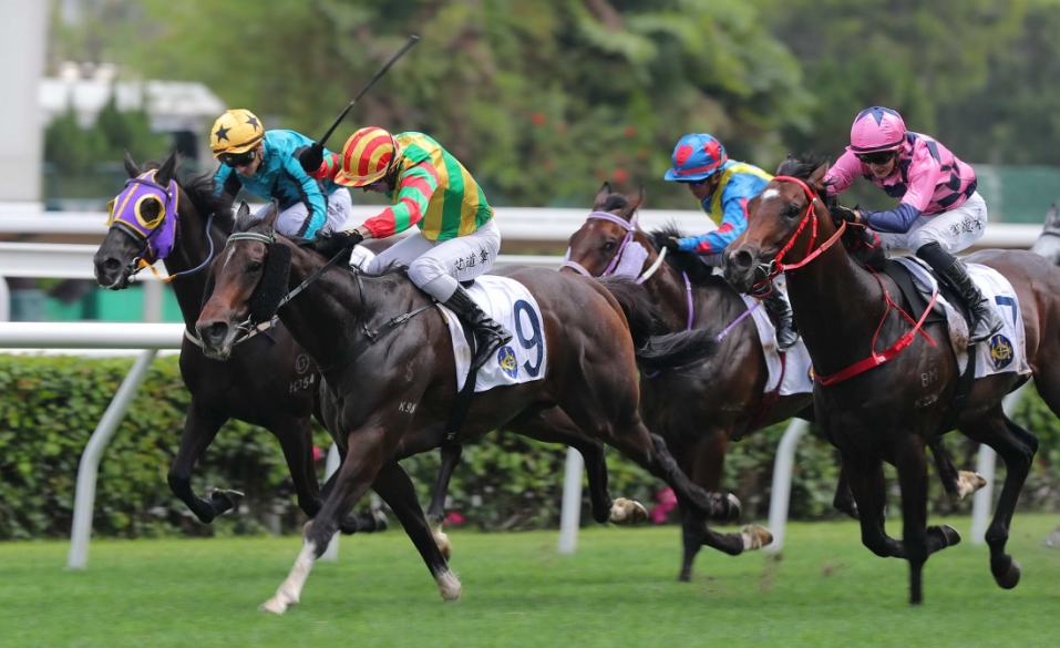 有片丨火焰閃爍捧走九龍木球會(huì)百周年紀(jì)念盃 跨境寶馬大熱險(xiǎn)勝 馬主吳海波:最緊張一次