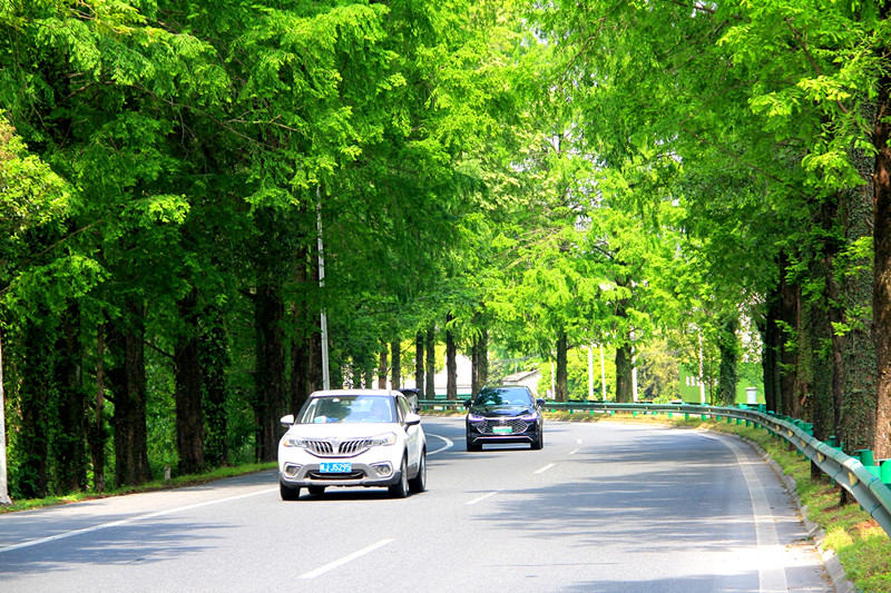 皖休寧縣：初夏國道美如畫