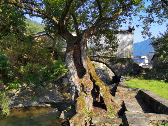 生態(tài)與人文交相輝映 皖黟縣宏潭佘溪?jiǎng)?chuàng)新運(yùn)營(yíng)解鎖「共富密碼」