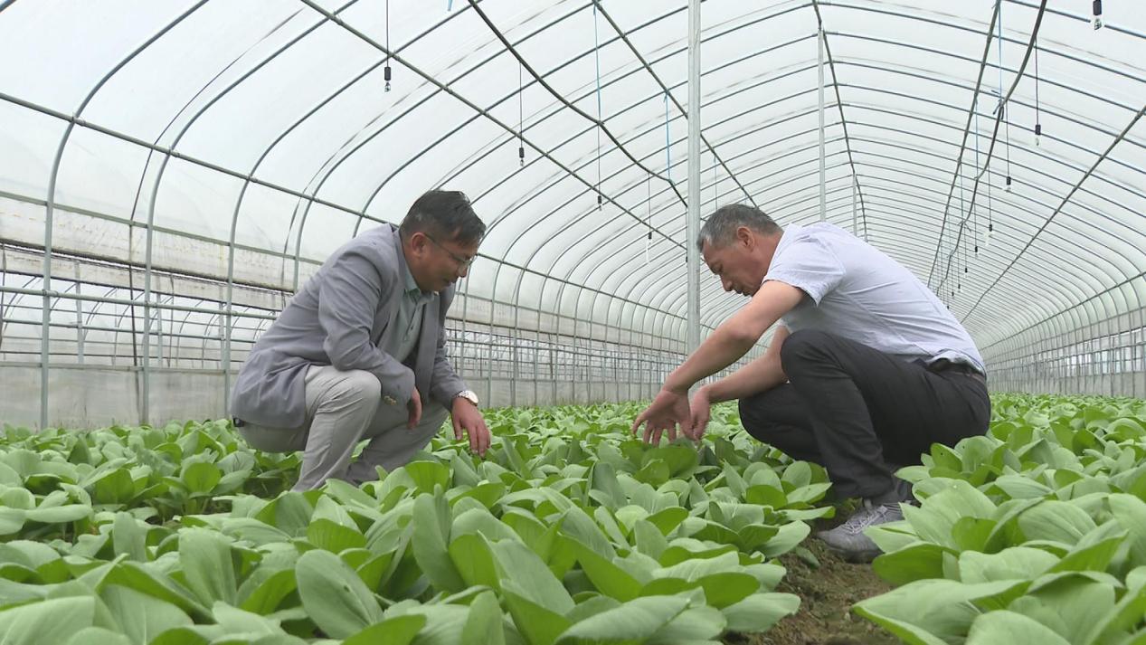 皖屯溪區(qū)：應(yīng)對(duì)強(qiáng)降雨 拎穩(wěn)「菜籃子」