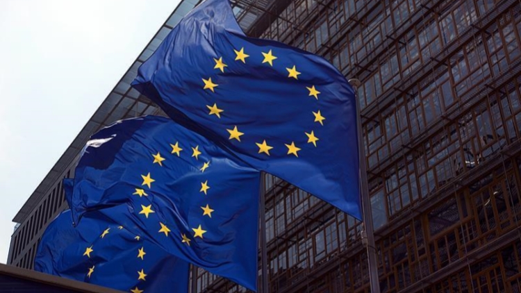 歐盟發(fā)表聲明支持烏克蘭30天?；鸷艋n