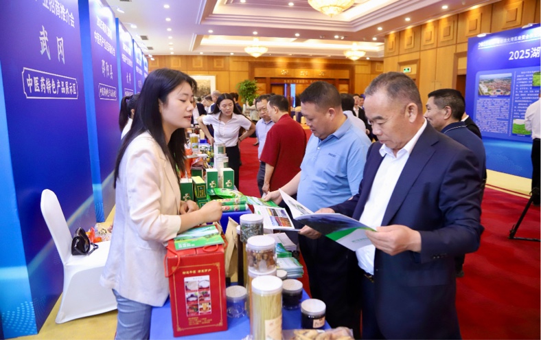 藥王文化「聯(lián)姻」灣區(qū)資本  湖南邵陽中醫(yī)藥產(chǎn)業(yè)搶灘粵港澳