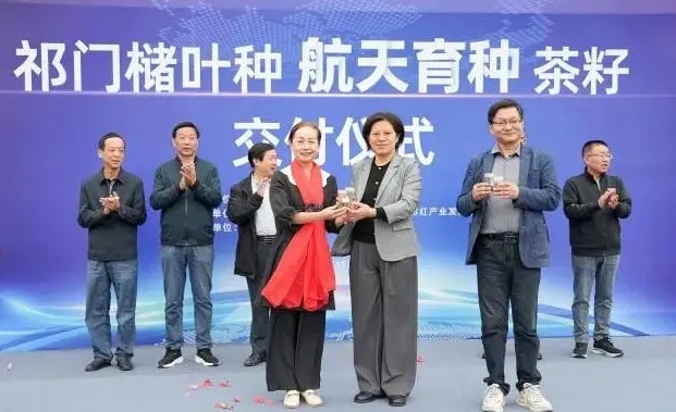 祁門「航天育種」茶籽交付儀式躋身安徽十大創(chuàng)新案例