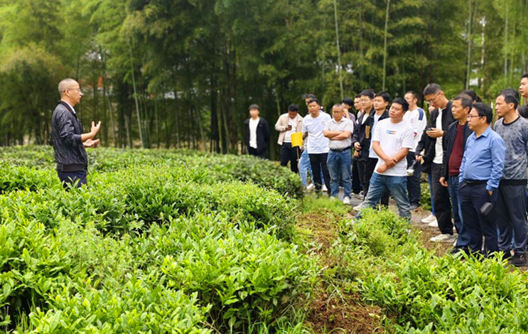 皖祁門縣：茶園機(jī)械化助推鄉(xiāng)村振興