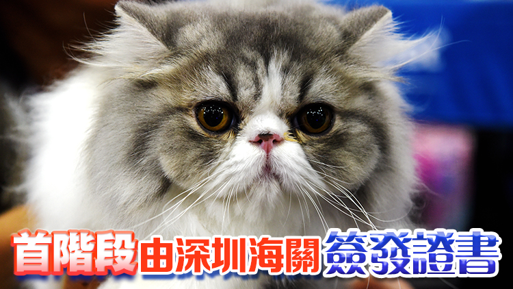 6月3日起，內(nèi)地貓狗入港檢疫期大幅縮減至30天