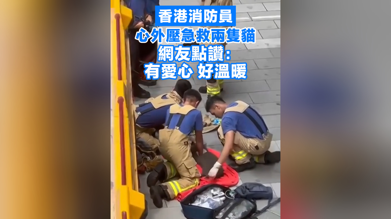 有片丨香港消防員心外壓急救兩隻貓 網(wǎng)友點(diǎn)讚﹕有愛(ài)心 好溫暖