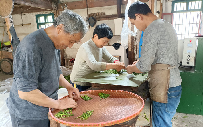 從「提籃叫賣」到「品牌出?！?皖黟縣宏潭猴魁經(jīng)濟起勢