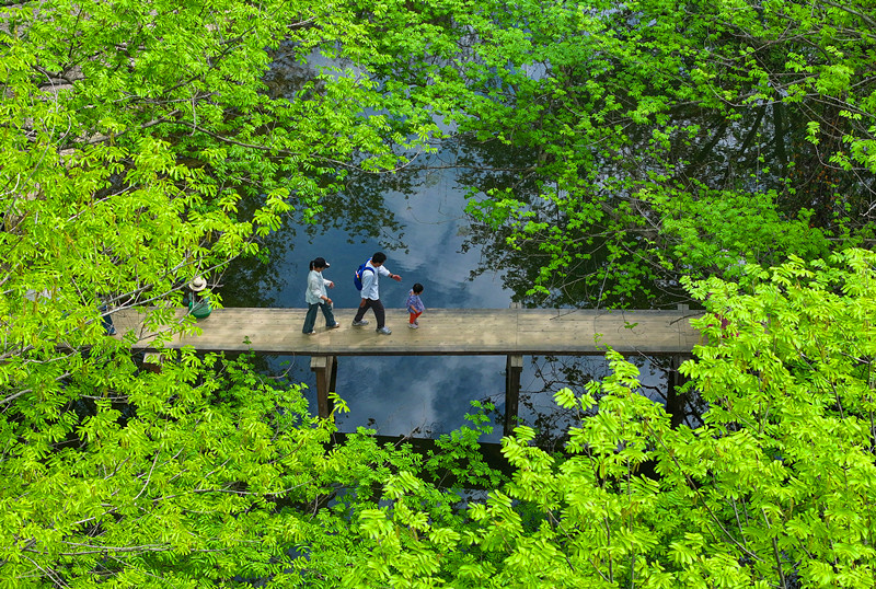 皖徽州區(qū)忝列2025全國(guó)市轄區(qū)旅遊發(fā)展?jié)摿Π偌褏^(qū)