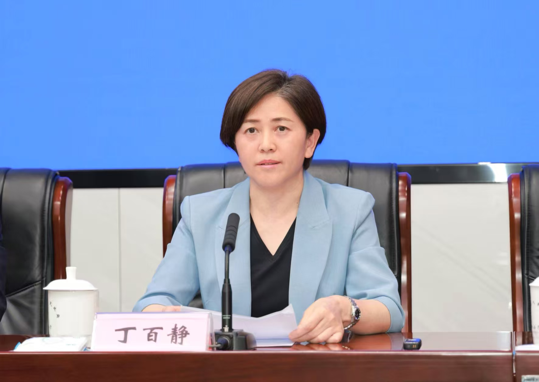 丁百靜：此刻的蕪湖正綻放著傳統(tǒng)與現(xiàn)代交織的獨(dú)特魅力