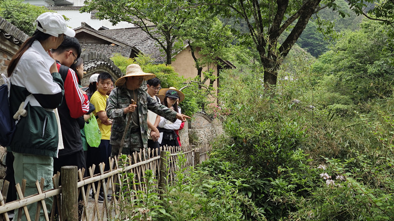 獅城學子黃山腳下訪岐黃 皖黃山區(qū)打造中醫(yī)藥文化浸潤式課堂