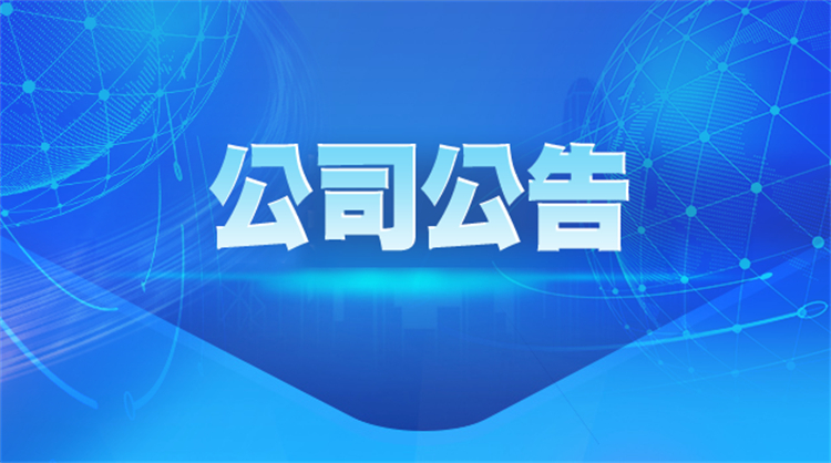 山東晨鳴紙業(yè)集團(tuán)股份有限公司 2024年度股東大會(huì)決議公告