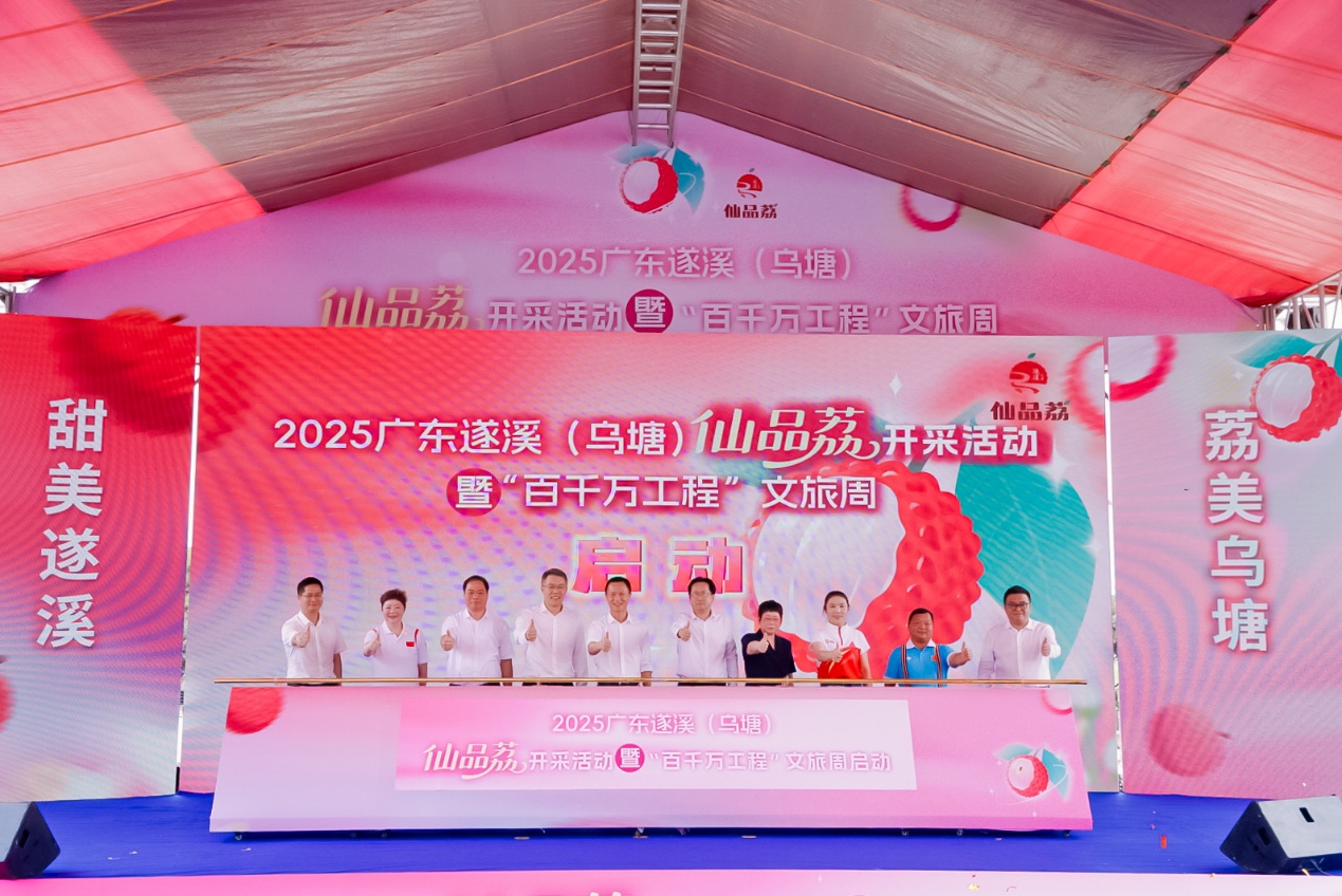 湛江遂溪仙品荔跑好廣東荔枝營銷第一棒