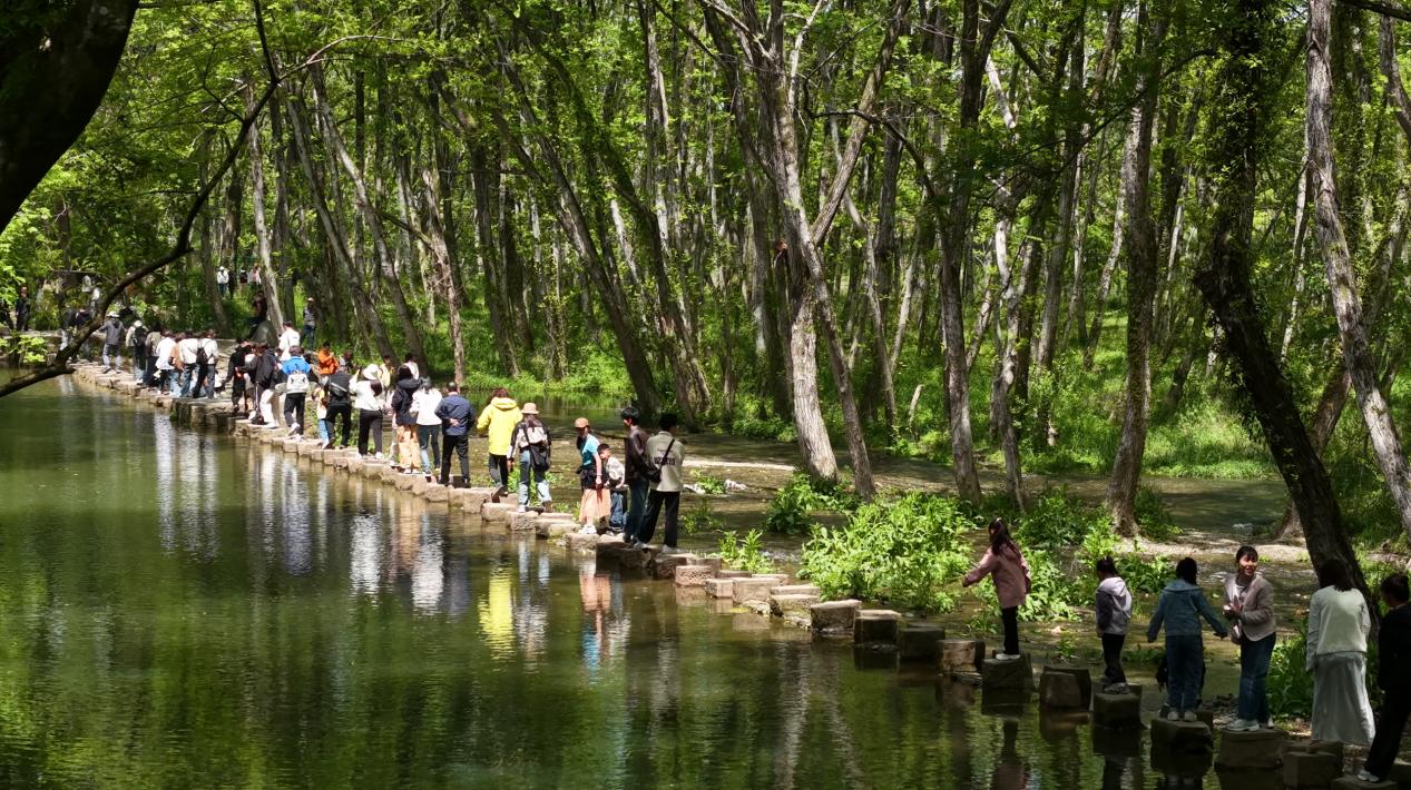 力繪生態(tài)+文旅融合新景  皖徽州區(qū)古韻野趣引客來(lái)
