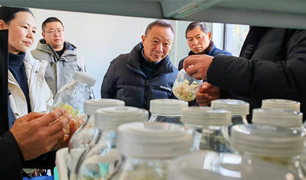 皖祁門縣：解鎖黃精產(chǎn)業(yè)的「標(biāo)準(zhǔn)密碼」