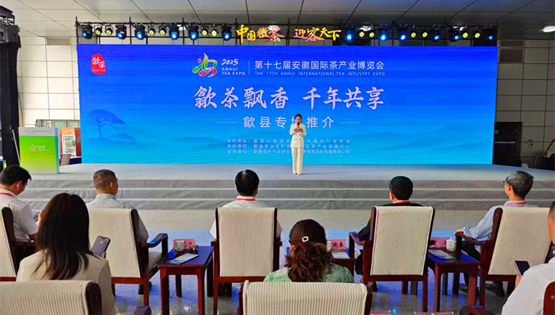 從茶園到世界全鏈突圍  皖歙茶韻動(dòng)廬州