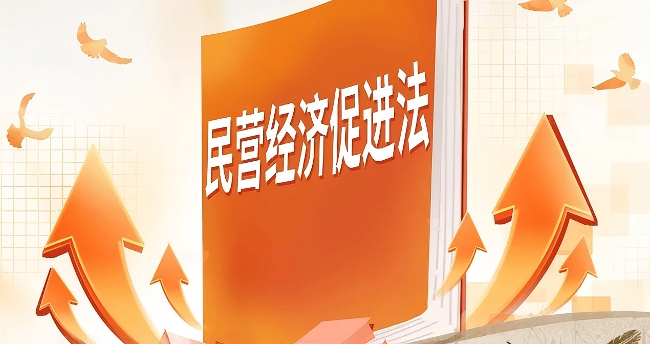中國(guó)民營(yíng)企業(yè)家高質(zhì)量發(fā)展新範(fàn)式：法治護(hù)航與創(chuàng)新突圍的雙螺旋之道—— 以《野蠻生長(zhǎng)》管理哲學(xué)解構(gòu)《民營(yíng)經(jīng)濟(jì)促進(jìn)法》實(shí)踐邏輯
