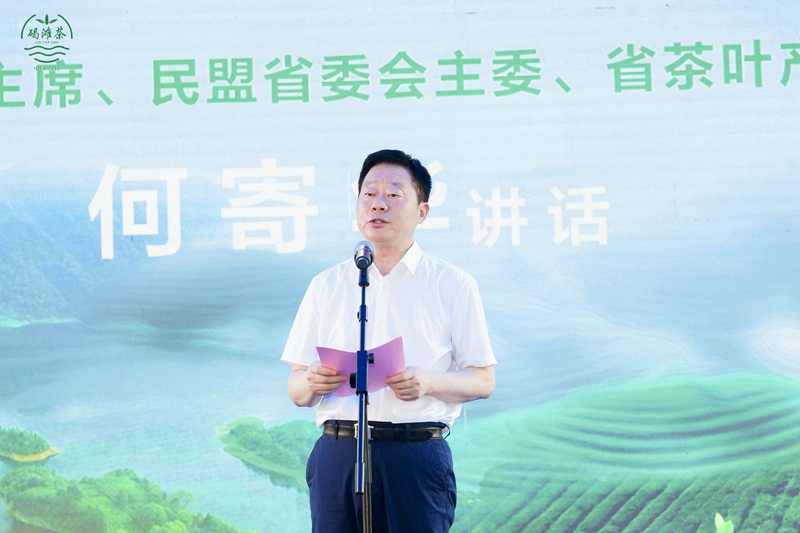 2025年沅陵碣灘茶推介會(huì)在長(zhǎng)沙舉行