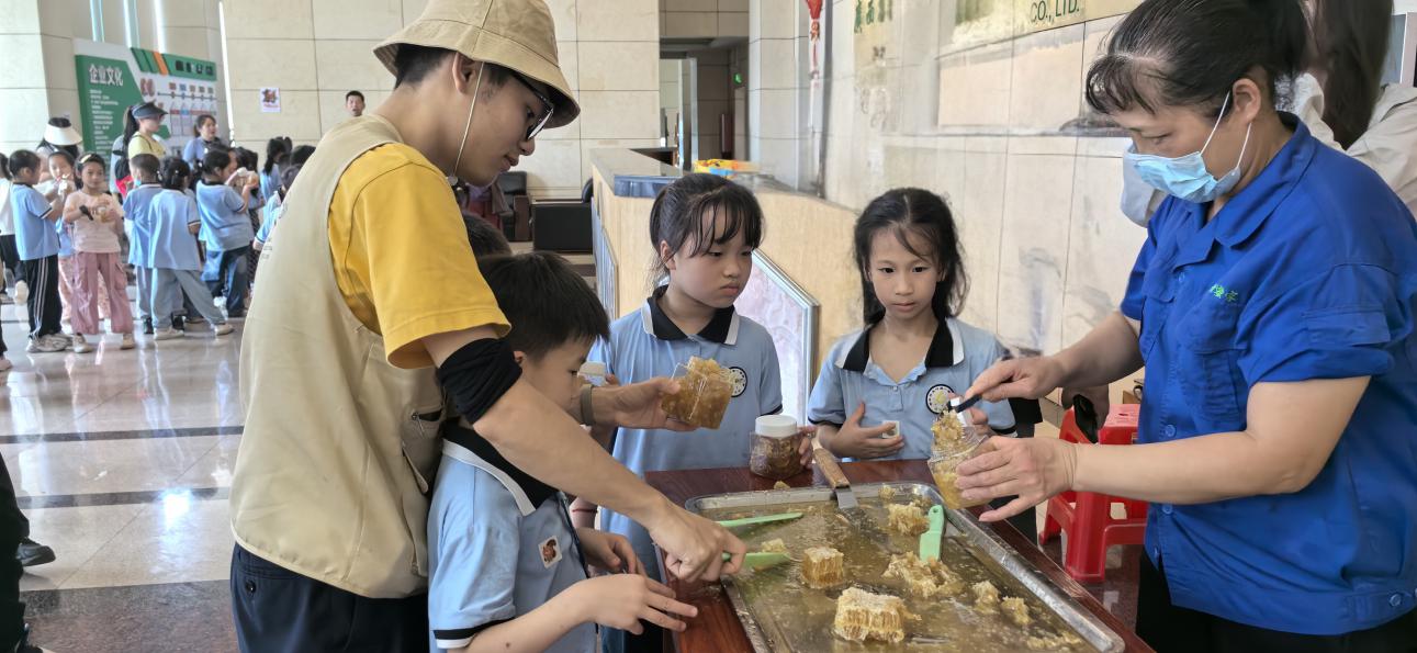 桂字號品牌賦能甜蜜事業(yè)  梧州蜂蜜甜蜜出圈