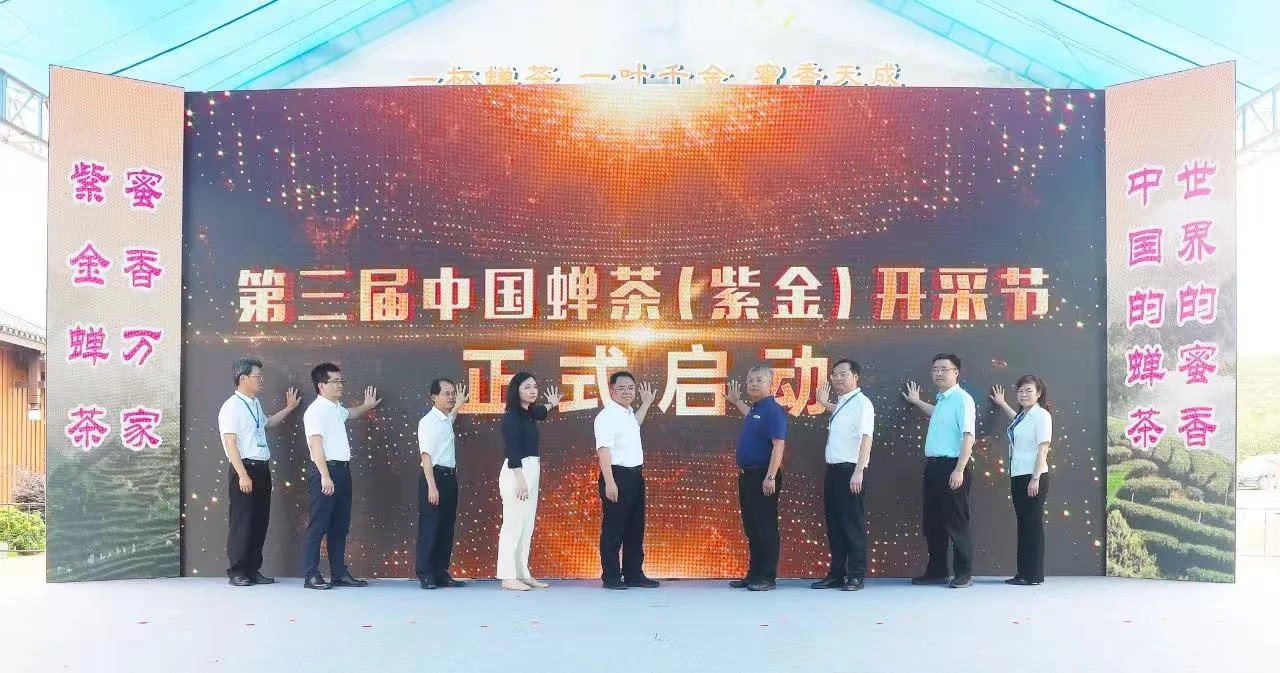 河源紫金舉辦第三屆中國(guó)蟬茶（紫金）開(kāi)採(cǎi)節(jié)
