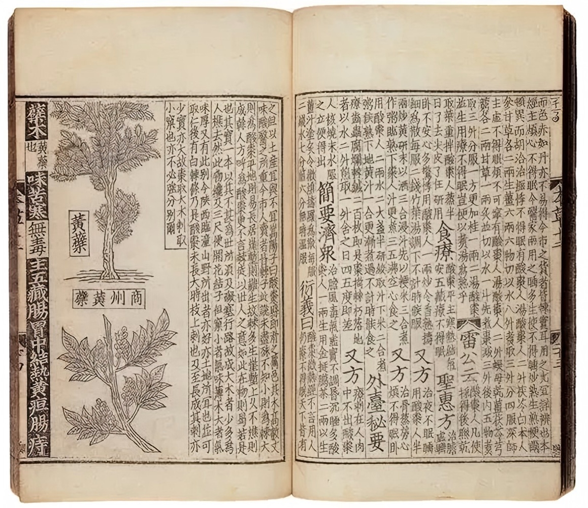 千年文脈下的產(chǎn)業(yè)蝶變  關(guān)於吉林人參高質(zhì)量發(fā)展的觀察與思考（上）