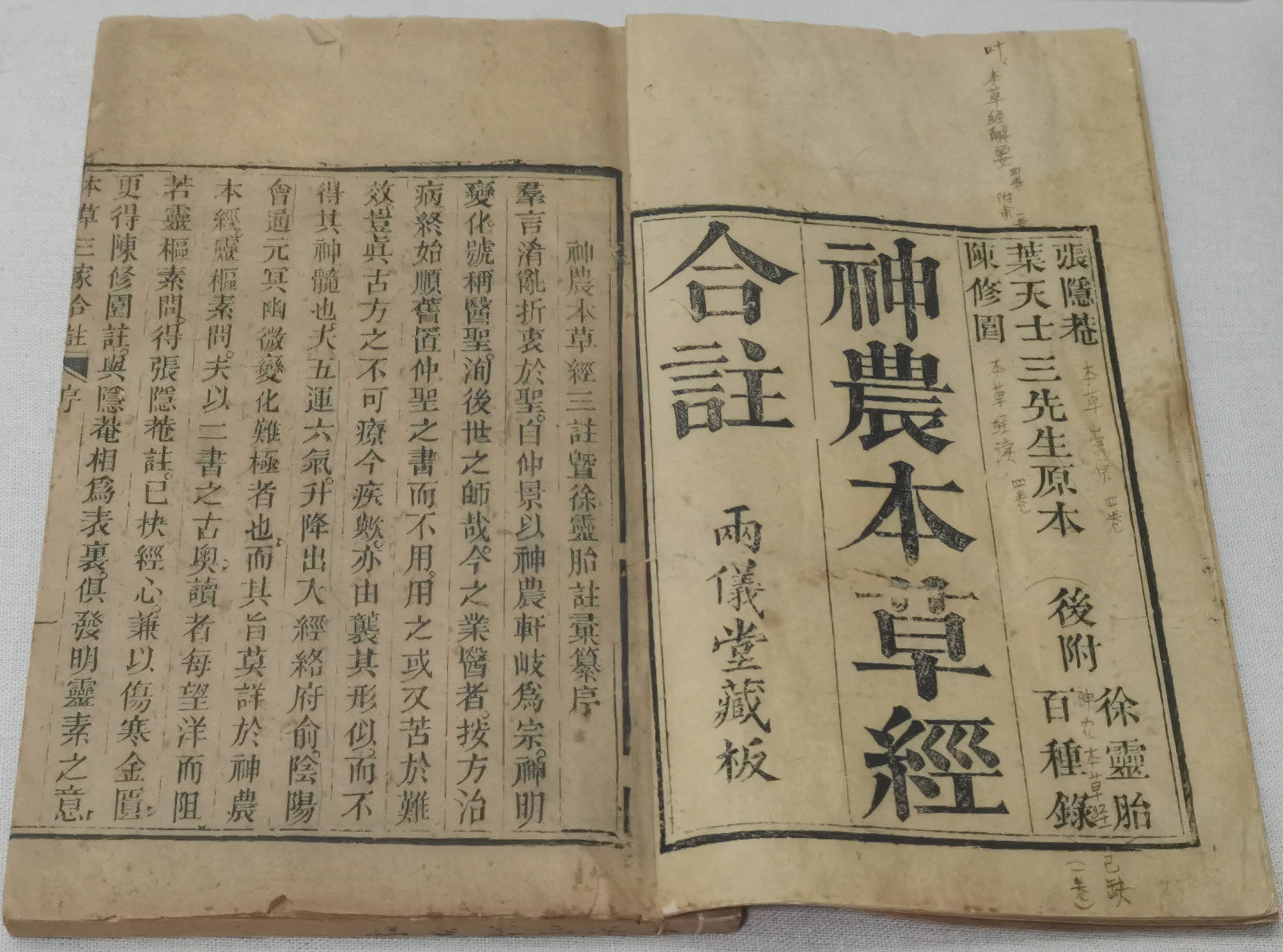 全鏈協(xié)同下的價值躍升  關(guān)於吉林人參高質(zhì)量發(fā)展的觀察與思考（下）