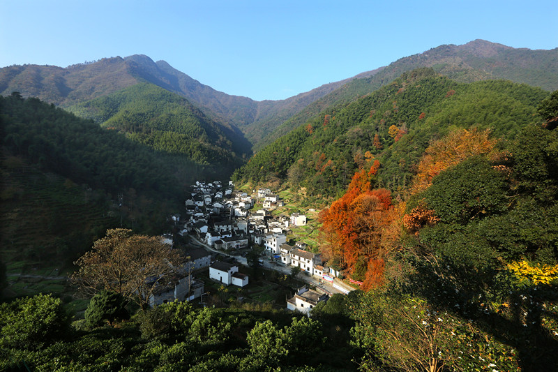 皖休寧汪村鎮(zhèn)：「紅魂綠韻」畫振興