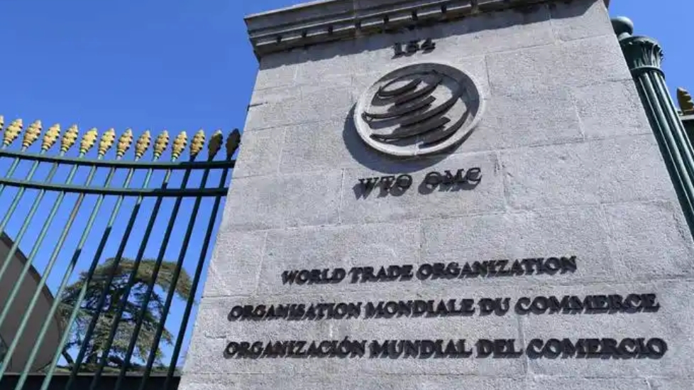 世貿(mào)組織成員批評(píng)美國「對(duì)等關(guān)稅」 呼籲強(qiáng)化多邊貿(mào)易體制 