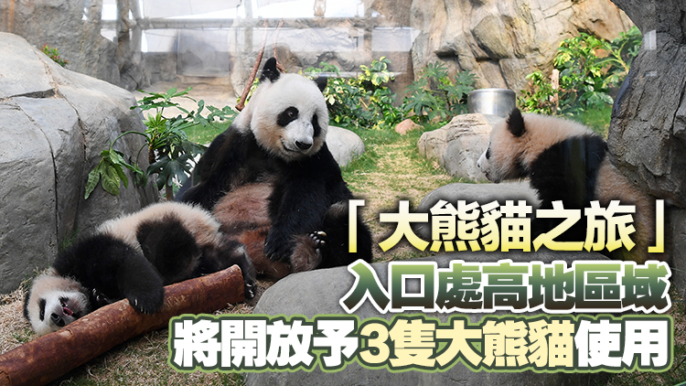 5·27起大熊貓龍鳳胎移至「盈盈」原本居住場(chǎng)地 探訪無(wú)需預(yù)先領(lǐng)取時(shí)間票