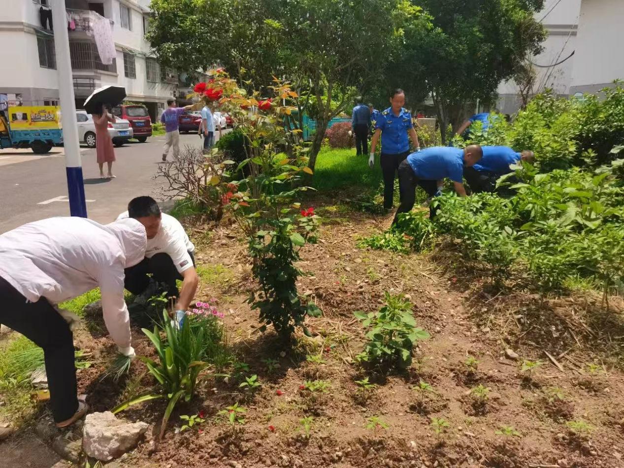 皖屯溪陽(yáng)湖鎮(zhèn)：整治「毀綠種菜」 共築文明家園